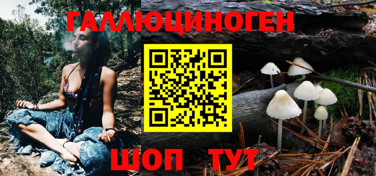 Галлюциногенные грибы Psilocybine cubensis Ярославль